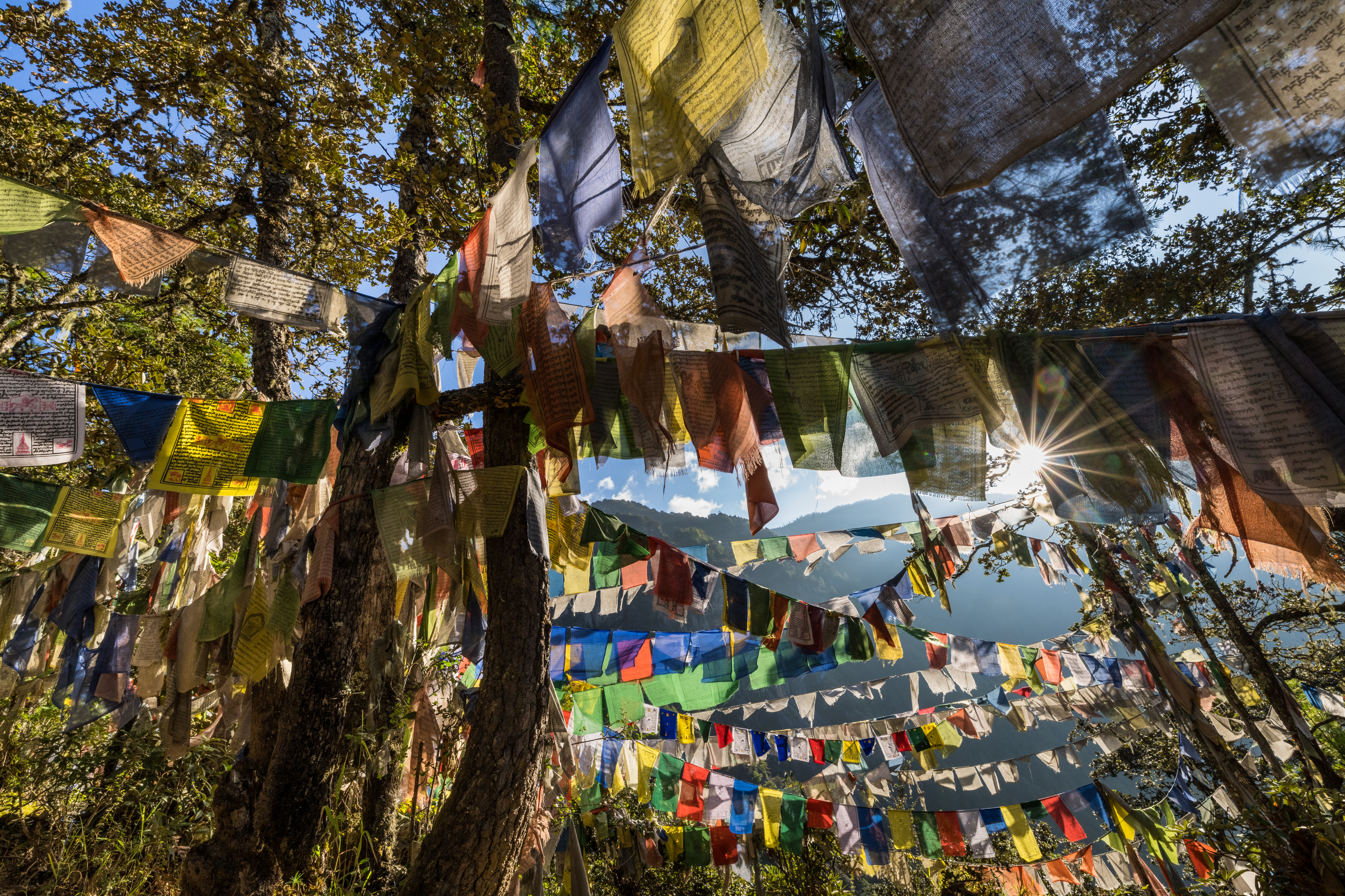 Prayer flags in Bhutan