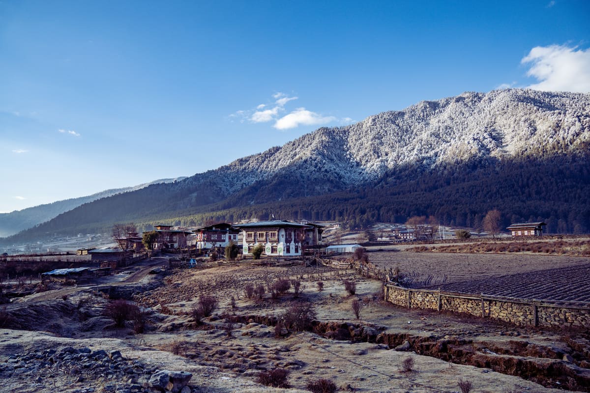 8-Day Gangtey & Phobjikha Journey image