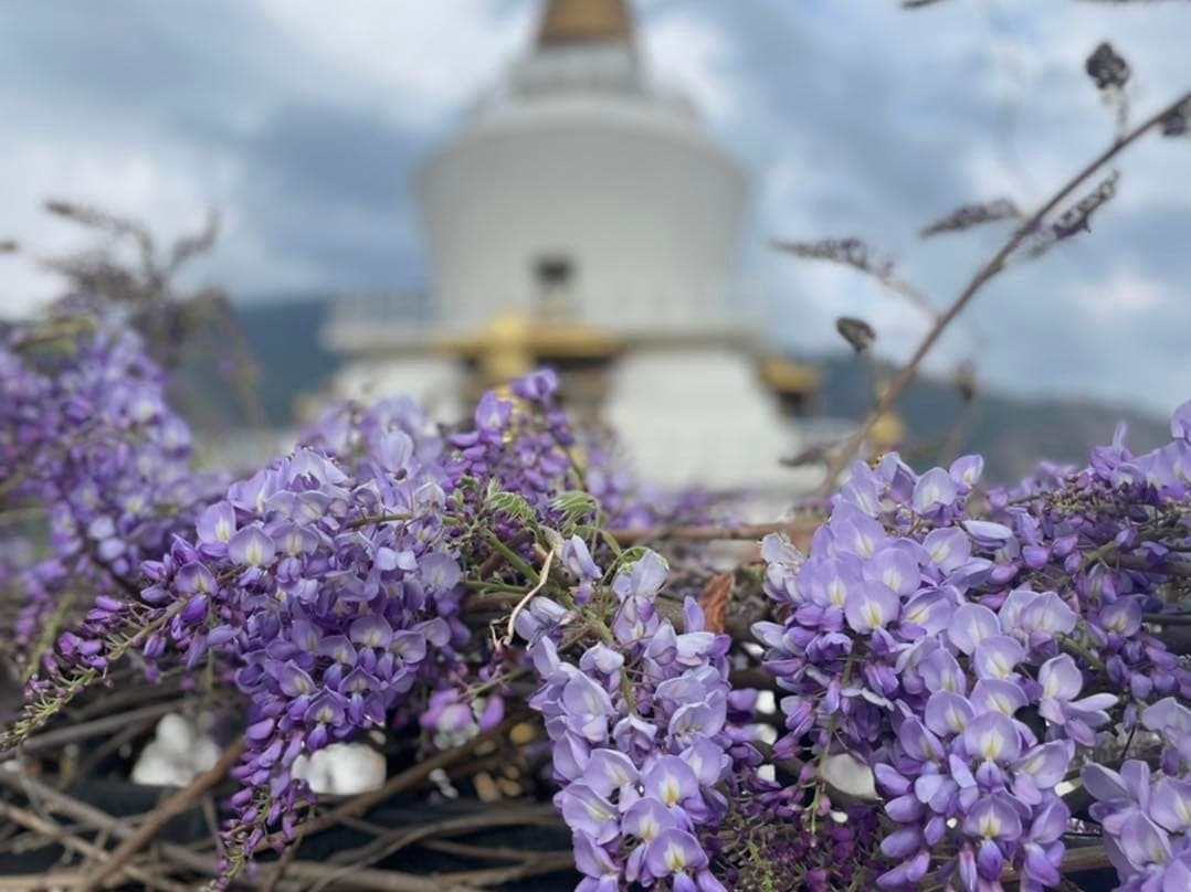 Changyul Park in Bhutan