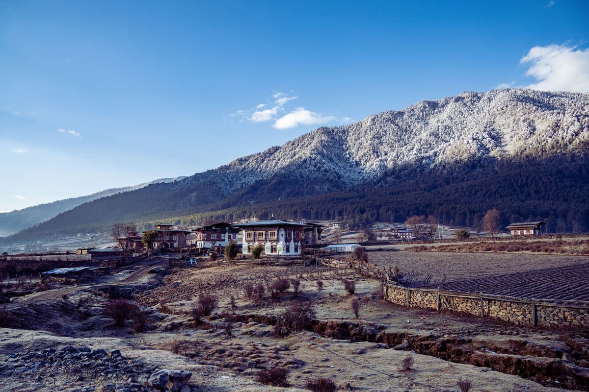 8-Day Gangtey & Phobjikha Journey image